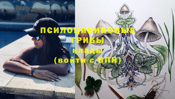 гашик Касимов