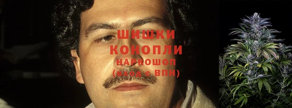 индика Иннополис