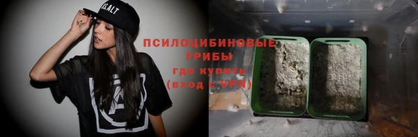 индика Иннополис