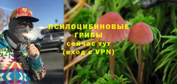 a pvp Карталы