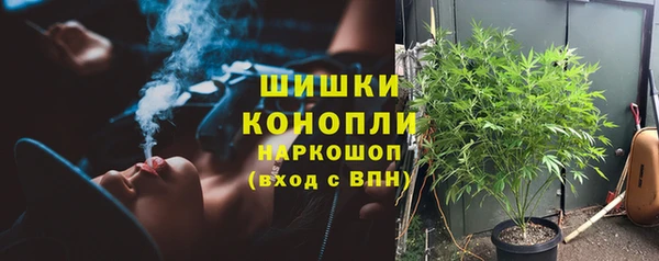 гашик Касимов