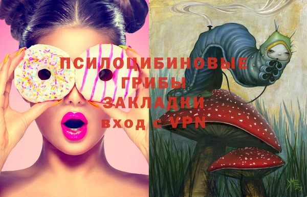гашик Касимов