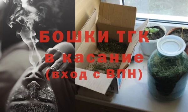 гашик Касимов