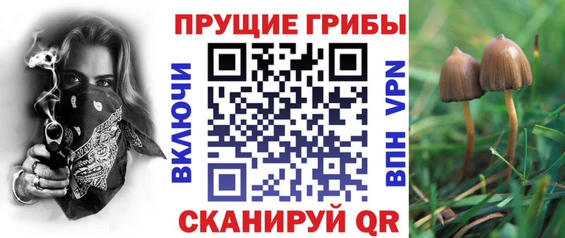 Галлюциногенные грибы ЛСД  Купить  Каменск-Шахтинский 